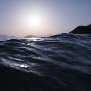 Meet your Posher, Madeline